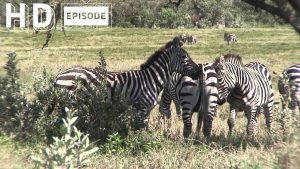 Kenya, Cycling to Hell's Gate, Episode 85